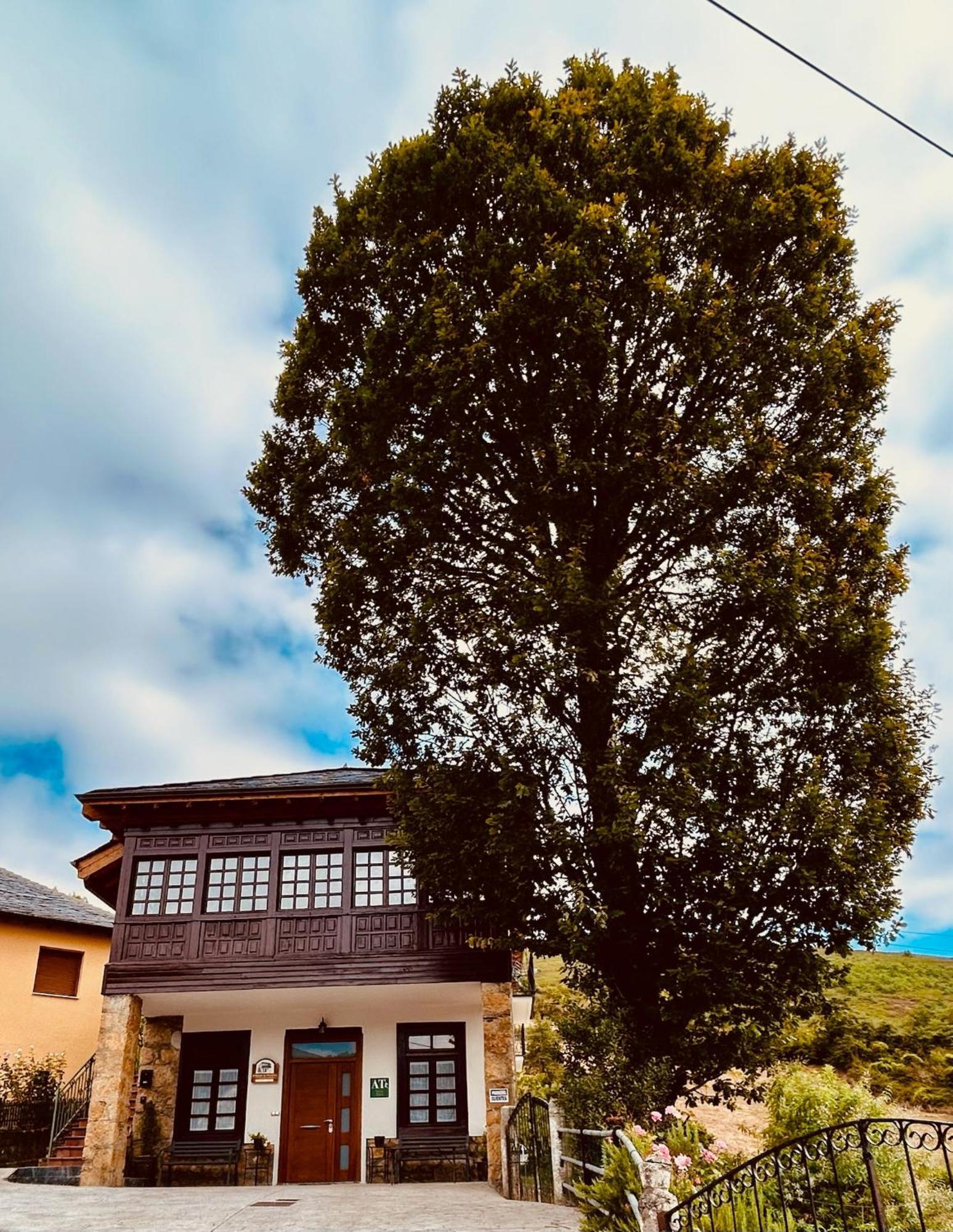 El Balcon De Muniellos Oballo 외부 사진